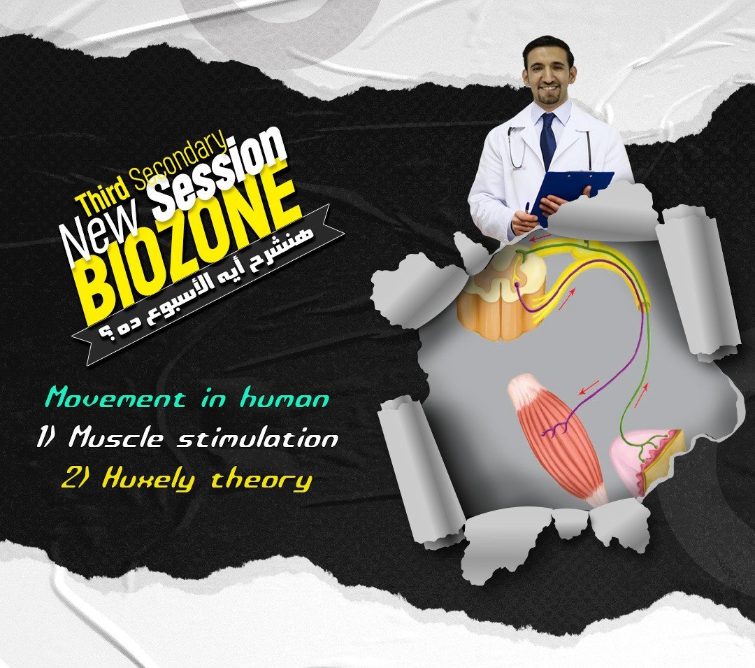 2026 - 3 - lecture (5) الشرح